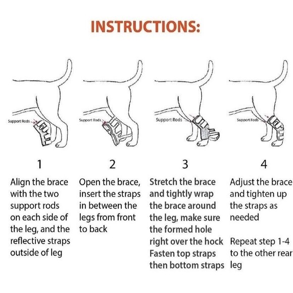 Neoally Dog/Cat Rear Leg Braces w/ Ultra Spring Support XS Long Injury Arthritis - Picture 14 of 16